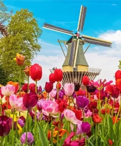 Kinderdijk Tulips Diamond Painting