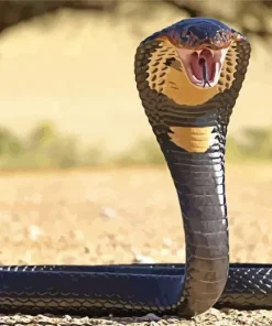 King Cobra Snake Diamond Painting