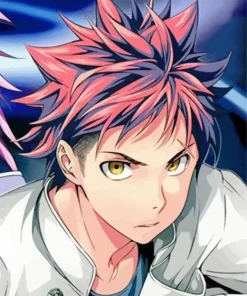 Kojiro Shinomiya Diamond Painting