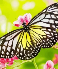 Large Tree Nymph Diamond Painting