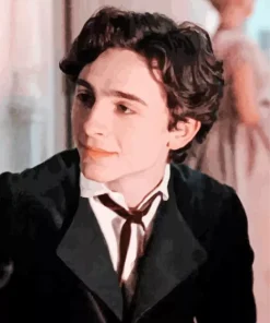 Laurie From Little Women Diamond Painting