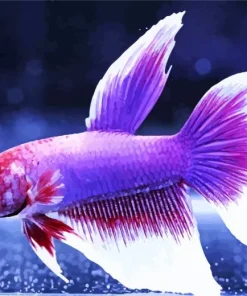 Lavender Betta Fish Diamond Painting
