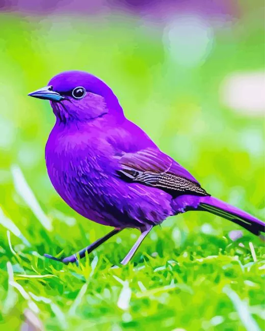 lavender bird Diamond Paintings Lavender Bird Diamond Painting