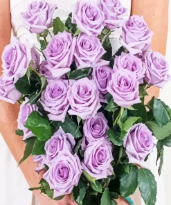 Lavender Roses Diamond Painting