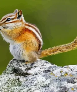 Least Chipmunk Diamond Painting