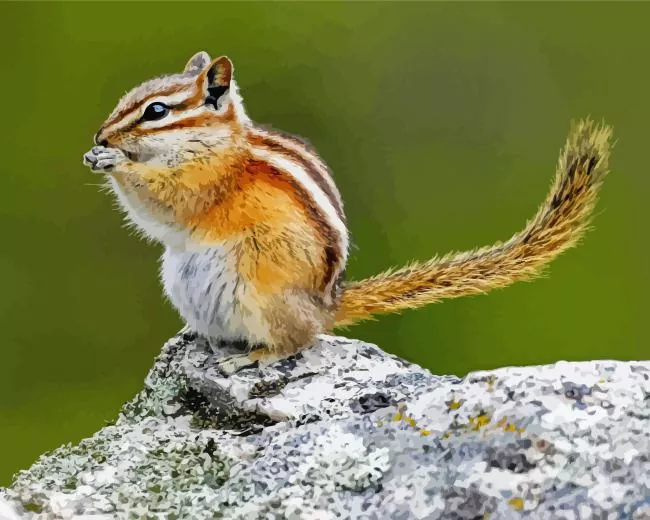 least chipmunk Diamond Dotz Least Chipmunk Diamond Painting