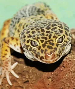 Leopard Gecko Diamond Painting