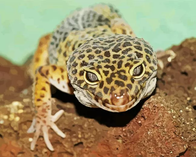 leopard gecko Diamond Paintings Leopard Gecko Diamond Painting