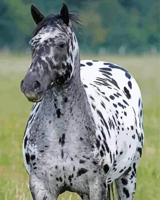 leopard horse Diamond Paintings Leopard Horse Diamond Painting