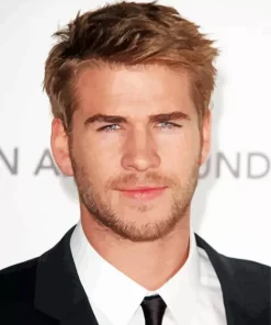 Liam Hemsworth Diamond Painting