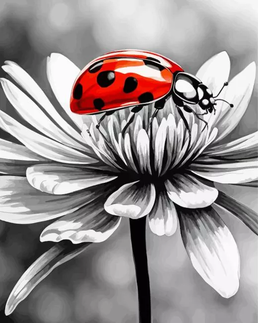 monochrome flower with ladybug Diamond Painst Monochrome Flower With Ladybug Diamond Painting
