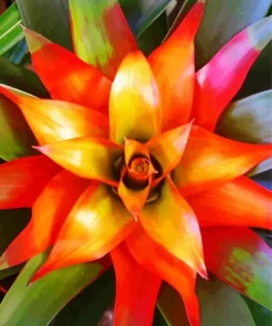 Orange Bromeliad Diamond Painting