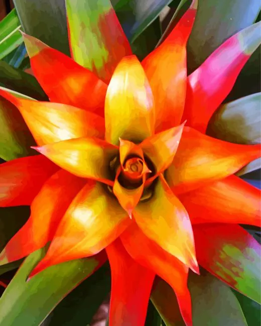orange bromeliad Diamond With Numbers Orange Bromeliad Diamond Painting