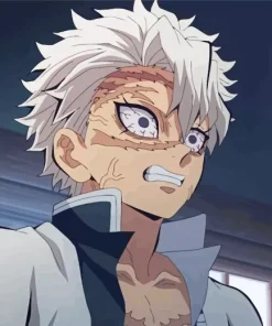 Sanemi Shinazugawa Diamond Painting