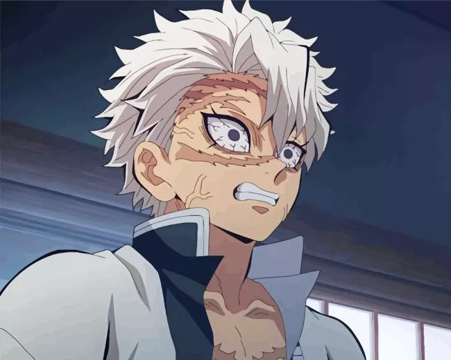 sanemi shinazugawa Diamond By Numbers Sanemi Shinazugawa Diamond Painting