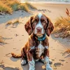 Springer Spaniel Puppy Diamond Painting