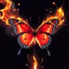 Black And Red Butterfly Burning Diamond Painting