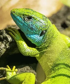 European Green Lizard Diamond Painting