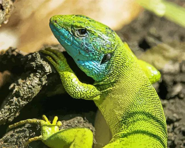 European green lizard Diamond By Numbers European Green Lizard Diamond Painting