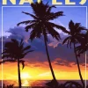 Florida Naples Poster Diamond Painting