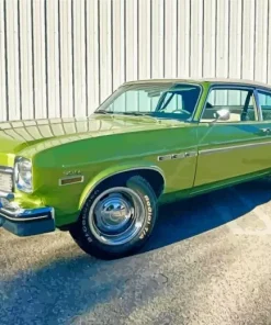 Green 1974 Buick Skylark Diamond Painting
