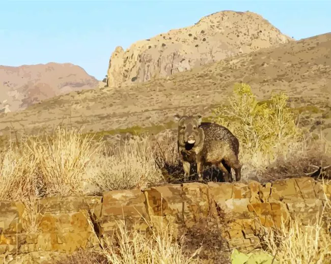 Peccary animal Diamond Paints Peccary Animal Diamond Painting