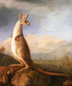 The Kongouro From New Holland Diamond Painting