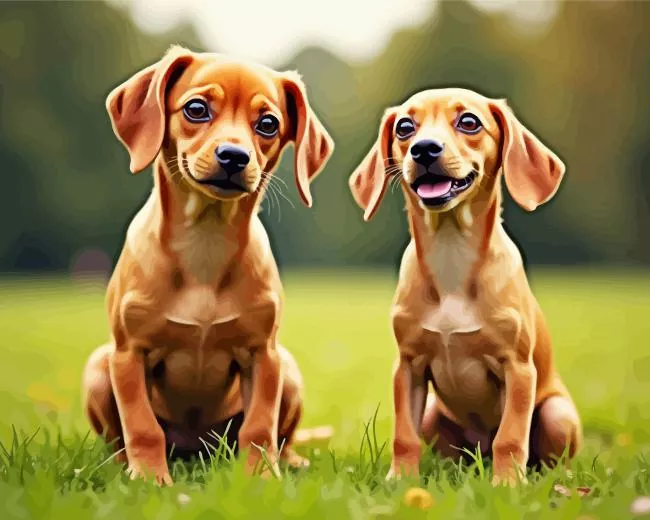 brown chiweenie dogs Diamond By Numbers Brown Chiweenie Dogs Diamond Painting