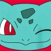 Bulbasaur Face Diamond Painting