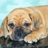 Bull Puggle Diamond Painting