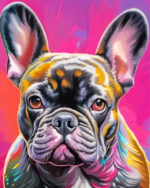 bulldog face Diamond Paints Bulldog Face Diamond Painting