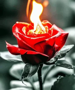 Burning Flower Diamond Painting