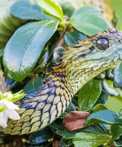 Bush Snake Diamond Painting