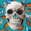 Butterflies And Skull Diamond Painting