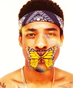 Butterfly Ali Diamond Painting