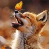 Butterfly On Fox Nose Diamond Painting