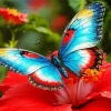 Butterfly On Red Flower Diamond Painting