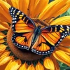 Butterfly On Sunflower Diamond Painting