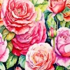 Cabbage Roses Diamond Painting