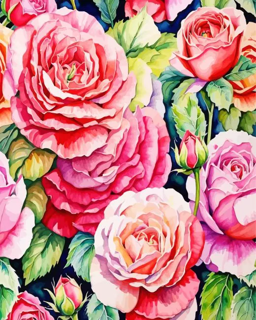 cabbage roses Diamond By Numbers Cabbage Roses Diamond Painting