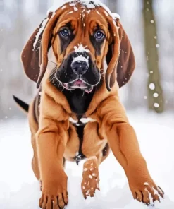 Cute Bloodhound Puppy Diamond Painting