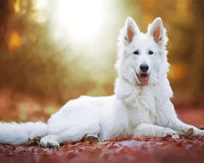 fully white german shepherd Diamond By Numbers Fully White German Shepherd Diamond Painting