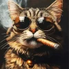 Gangster Cat Diamond Painting