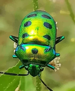 Green June Beetle Diamond Painting