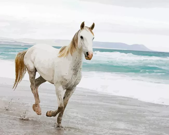 horse beach Diamond Paintings Horse Beach Diamond Painting