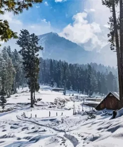 India Kashmir Landscape Diamond Painting