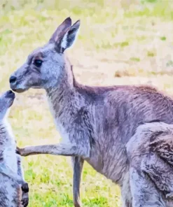Kangaroo And Baby Diamond Painting