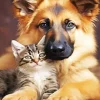 Kitten And German Shepherd Diamond Painting