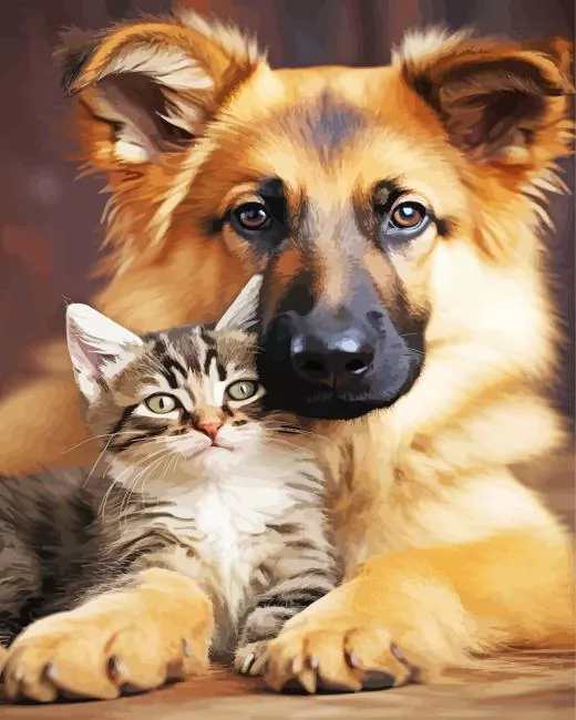 kitten and german shepherd Diamond By Numbers Kitten And German Shepherd Diamond Painting