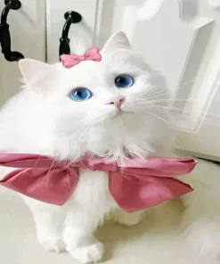 Kitten With Pink Bow Diamond Painting